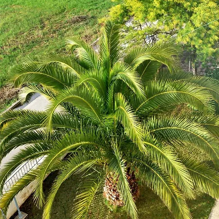 Konukevi And With Parking Space - 22531 Trogir